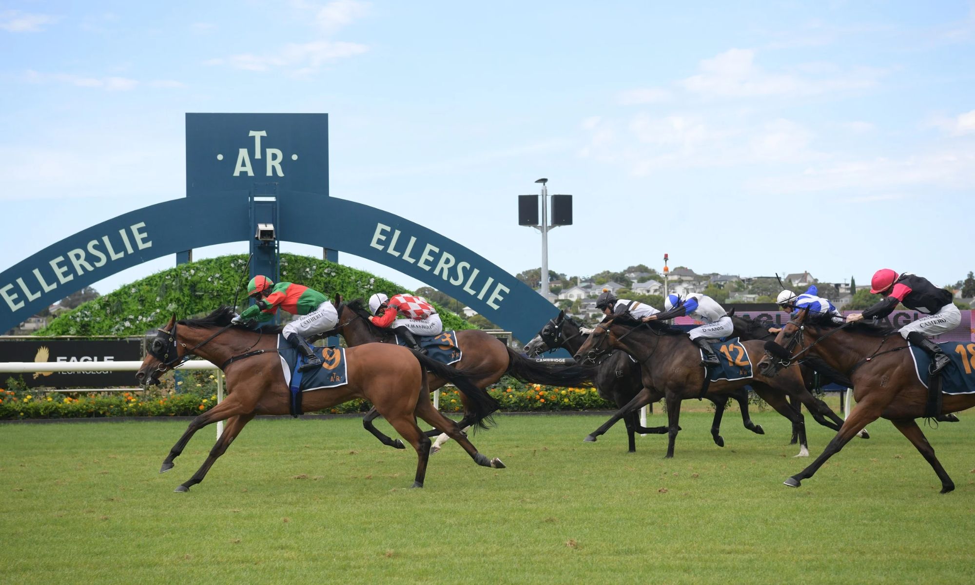 Eagle Technology Avondale Cup & Guineas Day