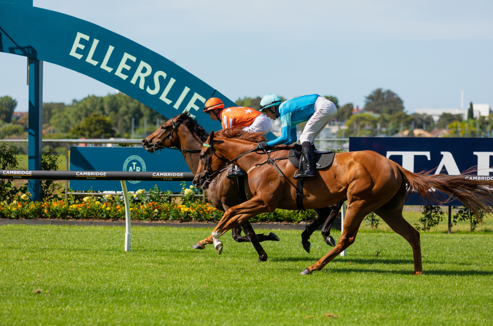 SkyCity New Year’s Day Races