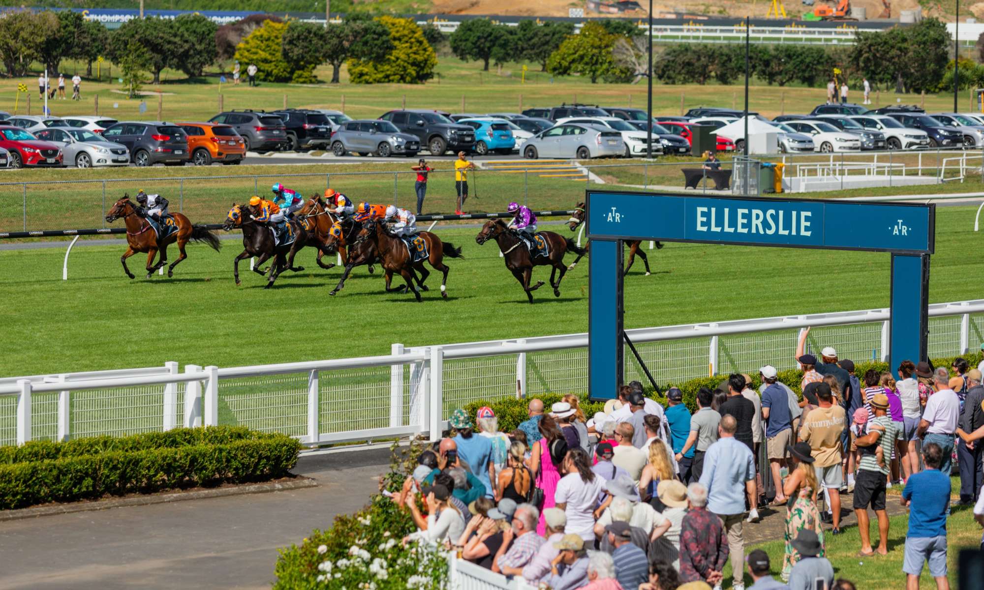 Cox Plate Day