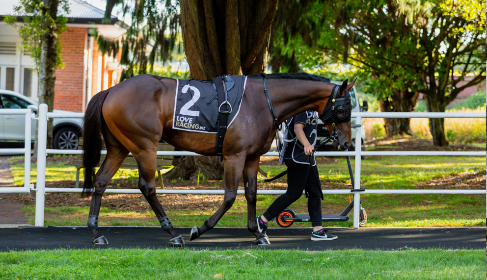 Pakuranga Hunt Day