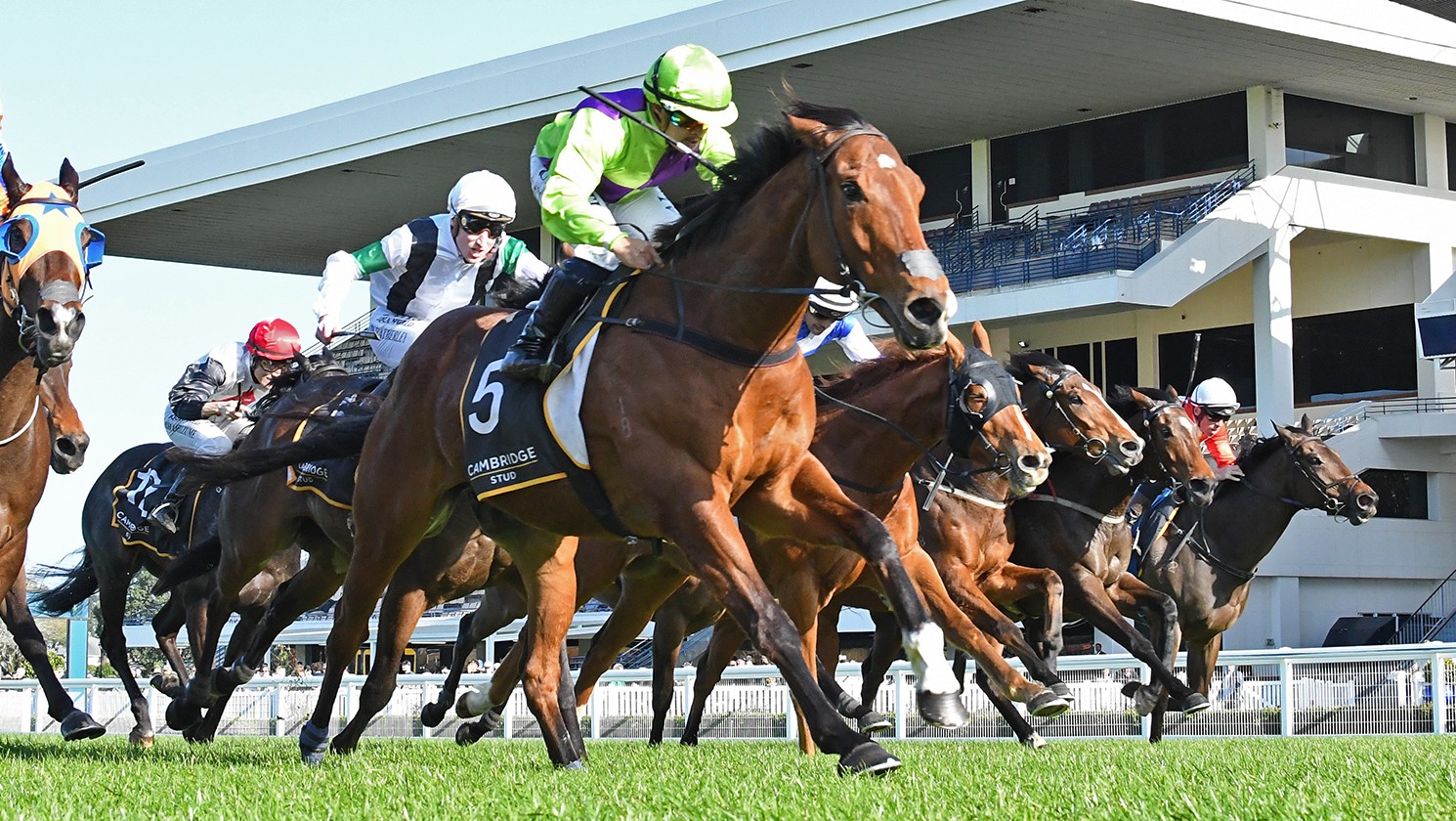 Racing News | Shamus springs major upset in Ellerslie feature