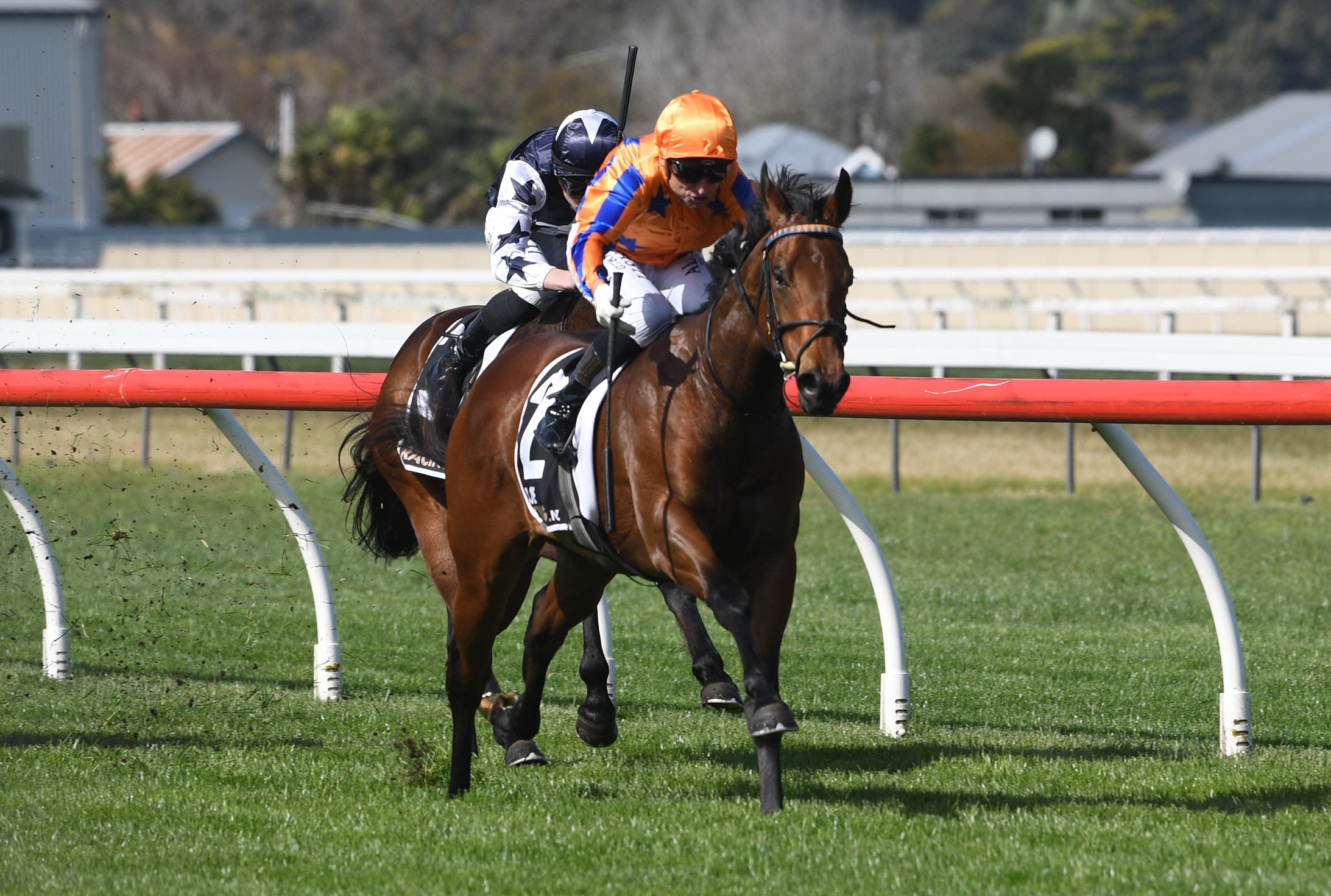 First Blood to Te Akau Again on Road to Karaka Millions 2YO