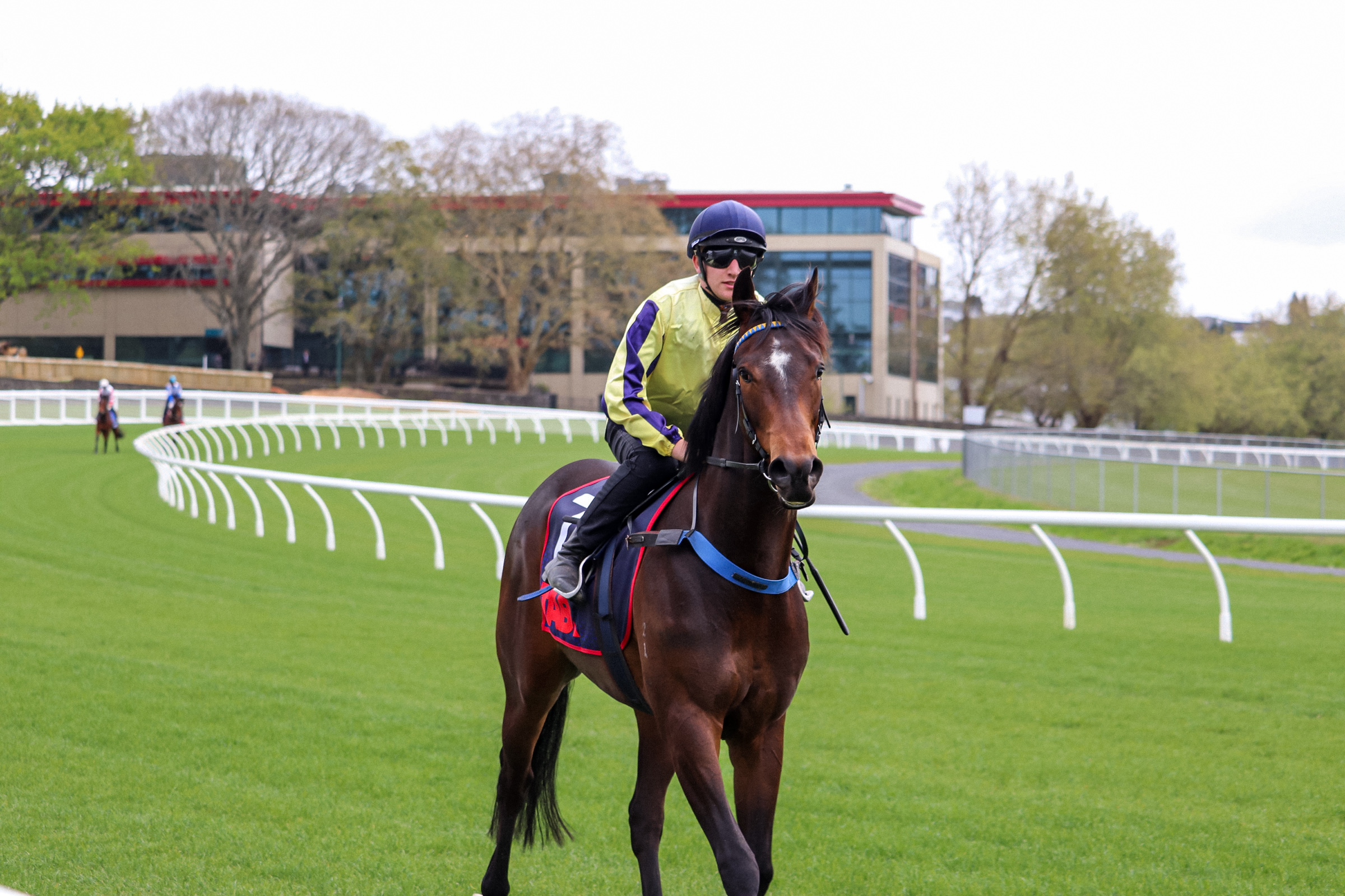 Media Alert | Positive feedback following trials and jumpouts at Ellerslie