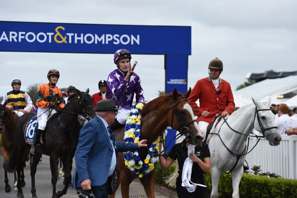 Mahrajaan returning to scale after winning the 2024 Barfoot & Thompson Auckland Cup at Ellerslie.