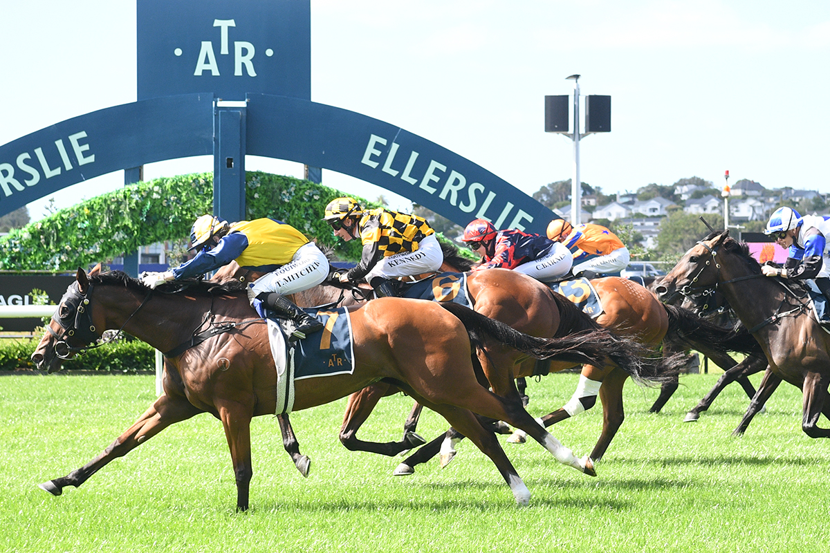 Jockey Comments – Group 3 Eagle Technology Avondale Cup