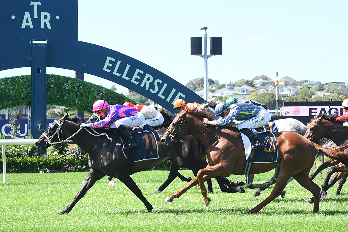 Jockey Comments – Group 2 Eagle Technology Avondale Guineas